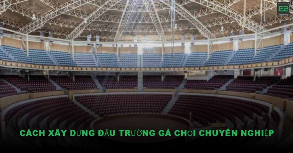 Đấu Trường Gà Chọi