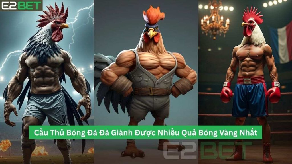Giống Gà Chiến Mạnh Mẽ Nhất Trong Giới Đá Gà